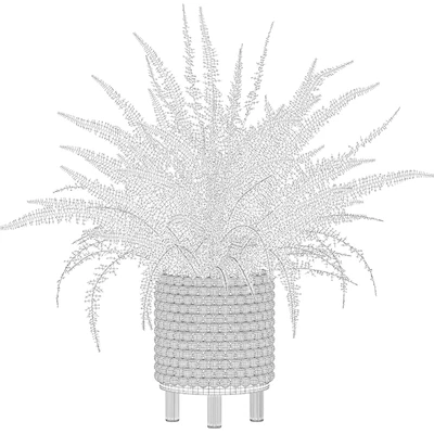Plants collection 035 - Fern 03 — Ver 2