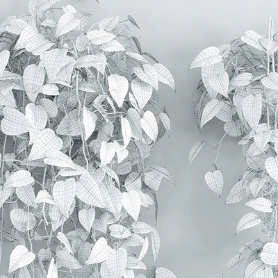 Woodbine 5 — Ver 2