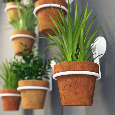 Clay pots with herbs on the wall — Ver 2