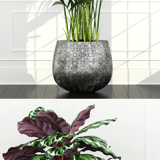 Plants collection 54 — Скачать