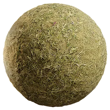 grass dried 074 — Скачать