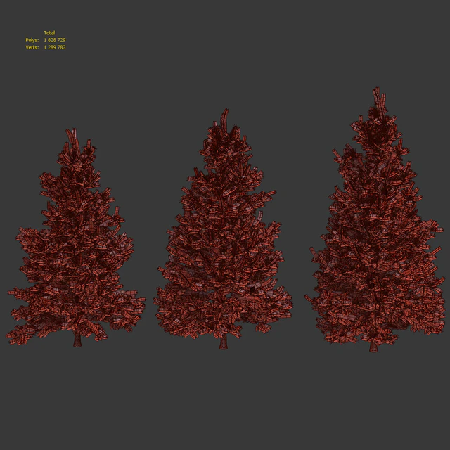 Abies Concolor 6 - 7m — Descargar