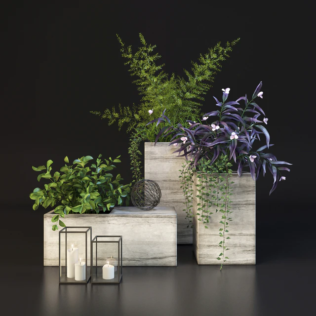 Decor set with plants — Скачать