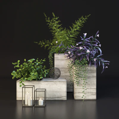 Decor set with plants — Вид 2