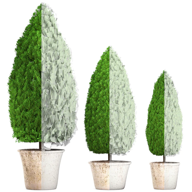 Collection of plants 127. Cupressus. garden trees, garden plants, cypress, thuja, pot, outdoor flowerpot — Descargar