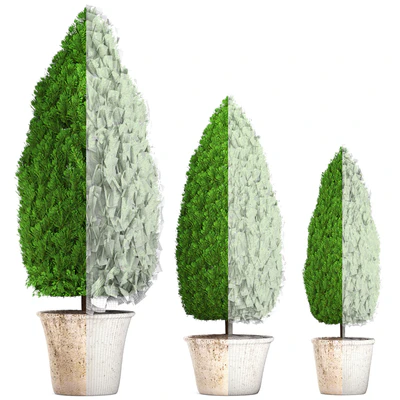 Collection of plants 127. Cupressus. garden trees, garden plants, cypress, thuja, pot, outdoor flowerpot — Ver 2