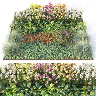 Flower garden 3 — Ver 1