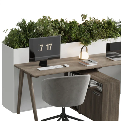 Workplace - Home offfice set - office furniture - Employee desk 26 — Вид 3