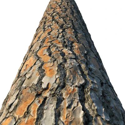 4k Pine Bark Material 03 — Ver 4