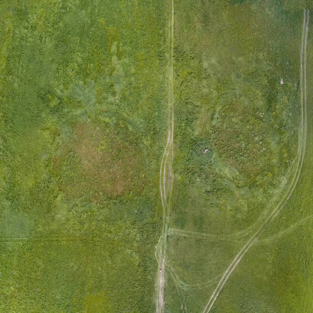 field summer 003 — Скачать