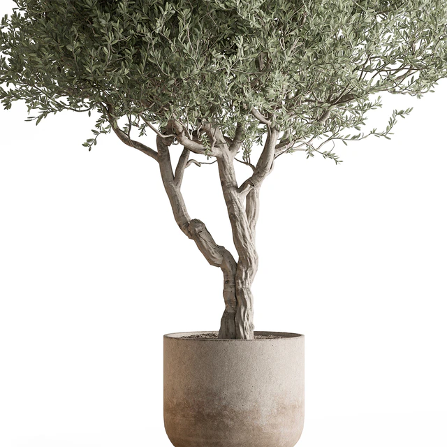 Indoor Plant 652 -Tree in Pot — Descargar