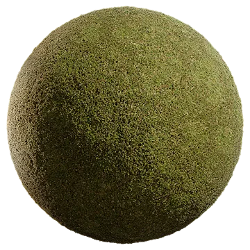 cut grass 001 — Descargar