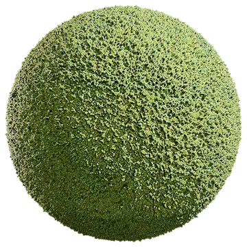 green colored cottage cheese 001 — Descargar