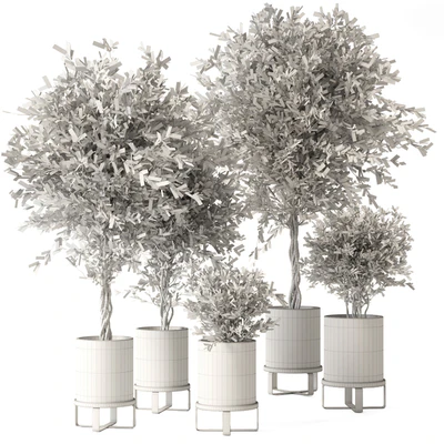 Indoor Plants in Ferm Living Bau Pot Large - Set 354 — Вид 3