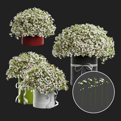 Gypsophila bouquet in a hat box — Ver 3