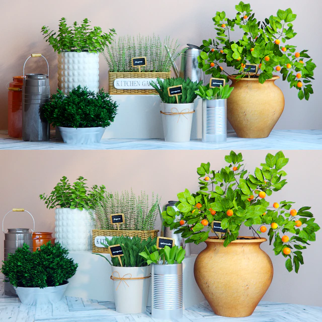 Kitchen garden 4 — Descargar