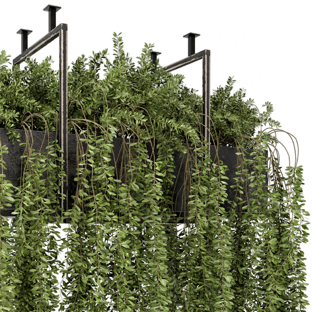 Indoor Hanging Plants in Metal Box - Set 303 — Скачать