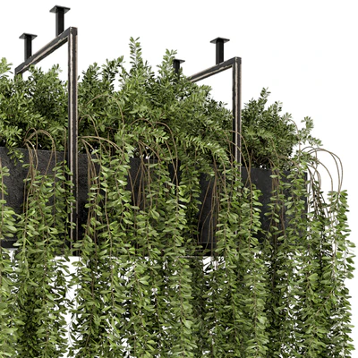 Indoor Hanging Plants in Metal Box - Set 303 — Вид 2