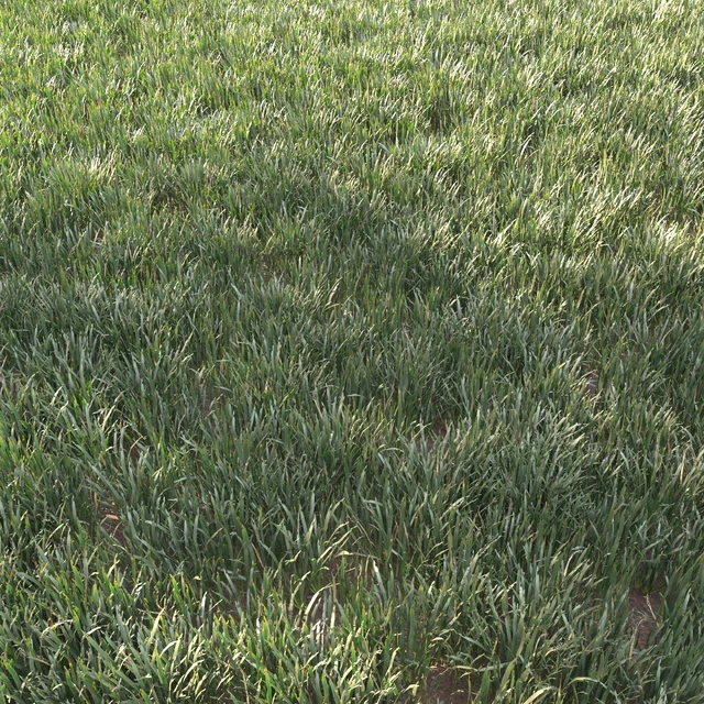 grass for landscape 11 — Скачать