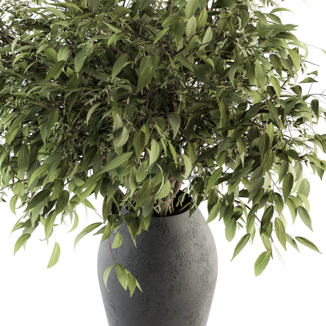 Bouquet - Green Branch in vase 45 — Descargar