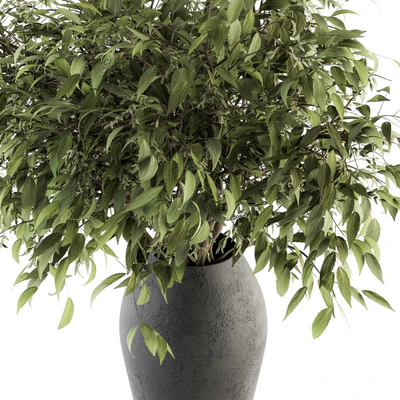 Bouquet - Green Branch in vase 45 — Ver 2