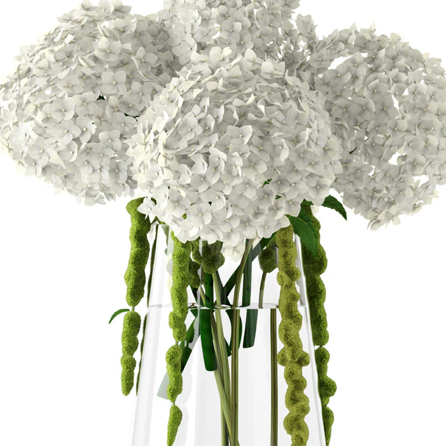 Amaranthus and Hyndrangea — Скачать