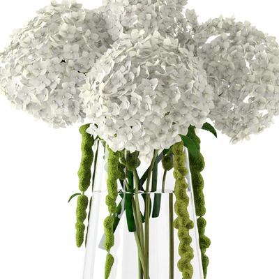 Amaranthus and Hyndrangea — Вид 2