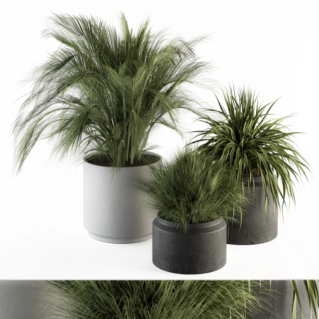 indoor Plant Set 223 - Plant Set in pot — Скачать