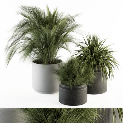 indoor Plant Set 223 - Plant Set in pot — Вид 1