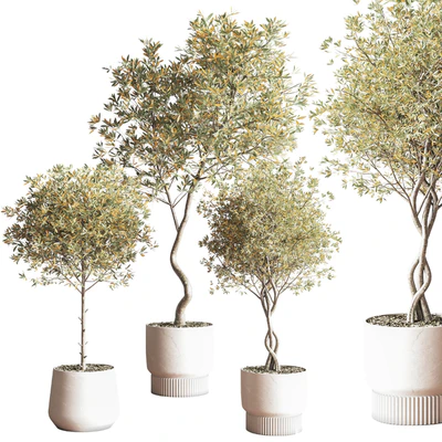 IndoorSetPlant054 — Ver 7