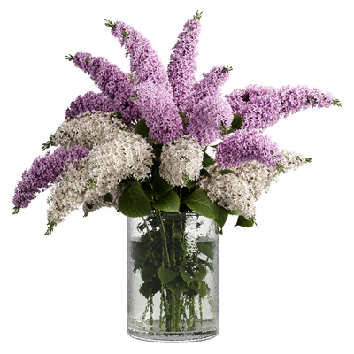 Bouquets 23 — Ver 1