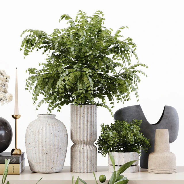 Decorative Set 201 — Descargar