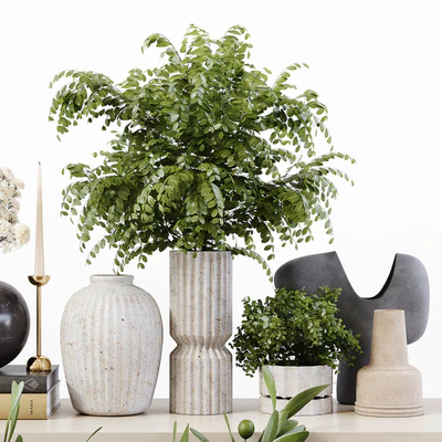 Decorative Set 201 — Ver 5