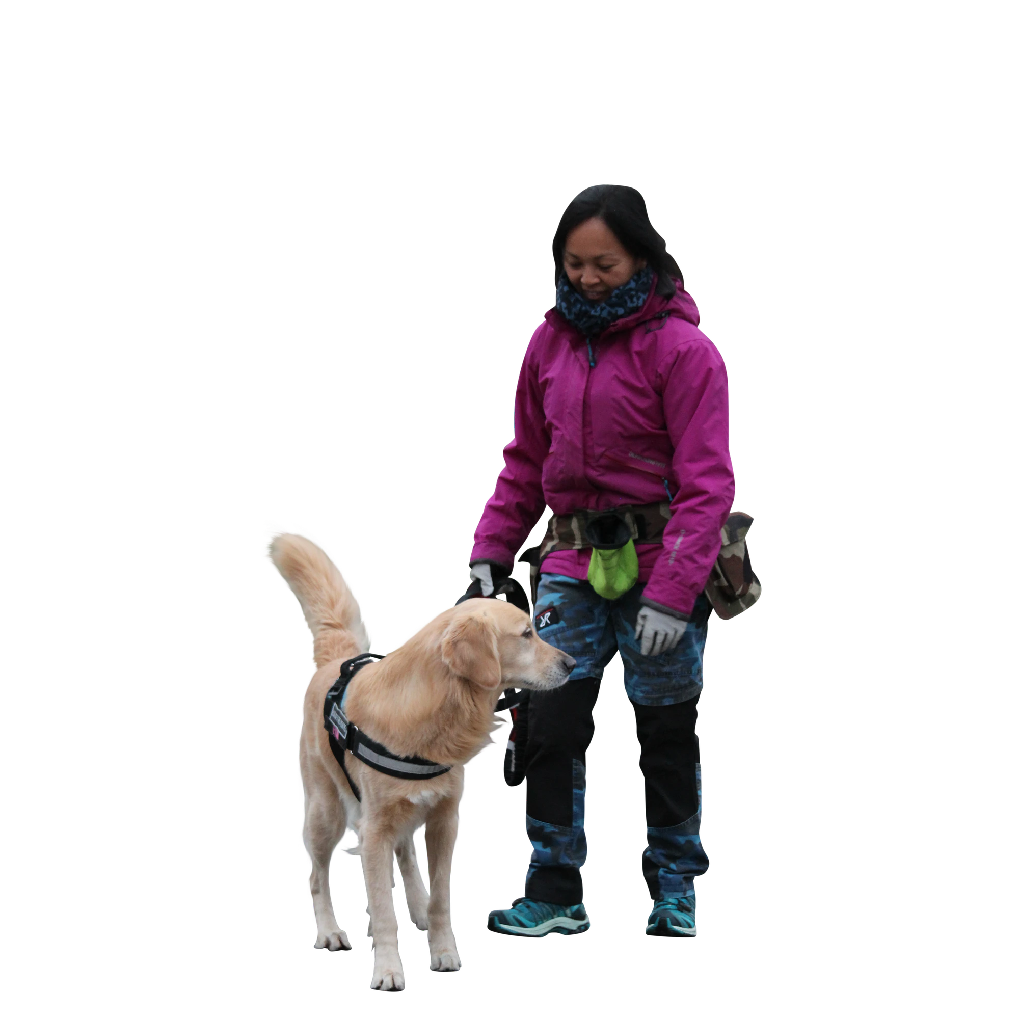 091 — Скачать