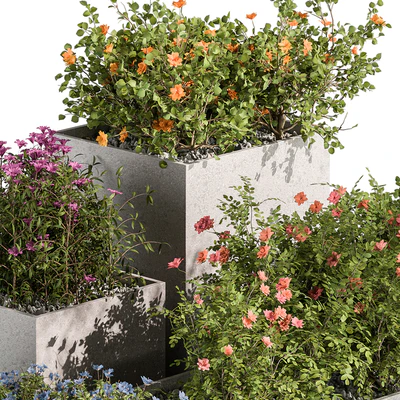 Plant Box - Outdoor Plants Flowers 534 — Вид 2