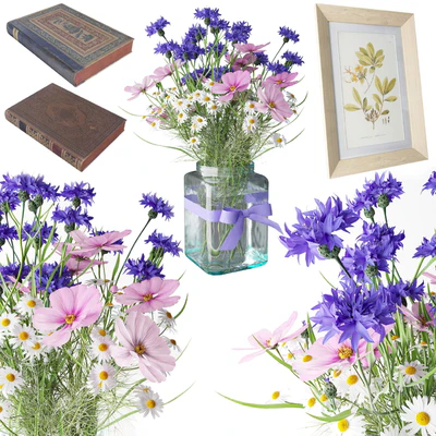 Bouquet of wildflowers — Ver 2