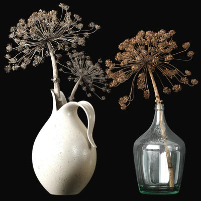 Old heracleum 2 — View 1