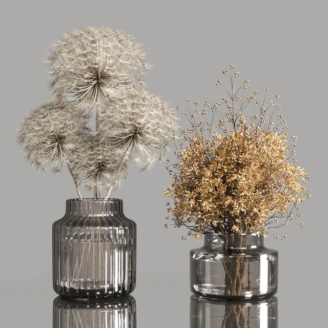 Collection Dry Plants Bouquet Indoor 02 — Descargar