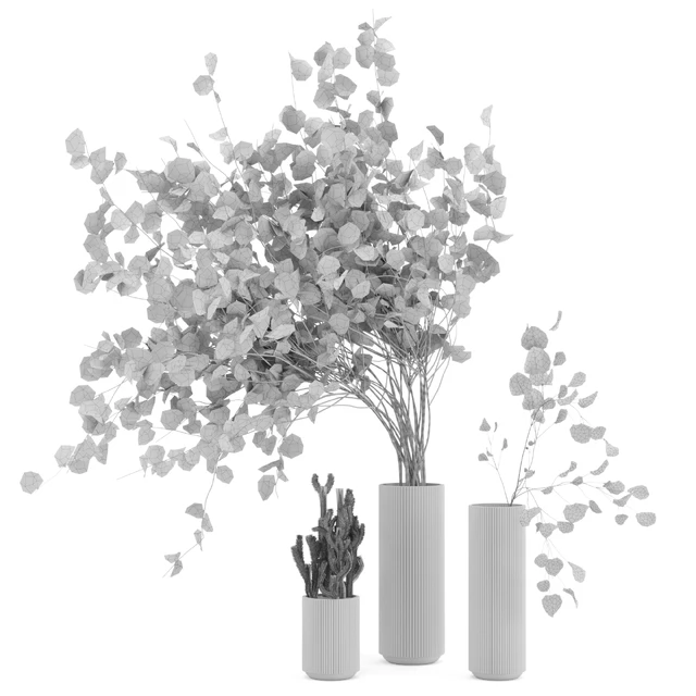Indoor Plants  Cactus & Eucalyptus whit Glass Pots - Set 38 — Скачать