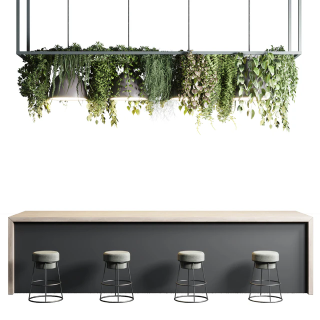 Coffee shop reception, Restaurant counter by hanging plant - 04 — Descargar