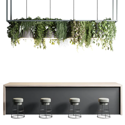 Coffee shop reception, Restaurant counter by hanging plant - 04 — Ver 2