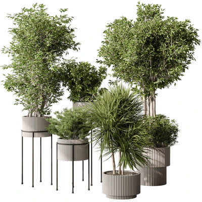 Indoor Plant 532 -Tree in Pot — Вид 1