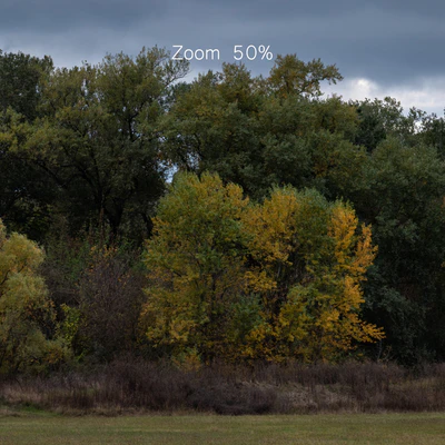 Cloudy panorama with autumn trees. 2 pcs — Ver 3
