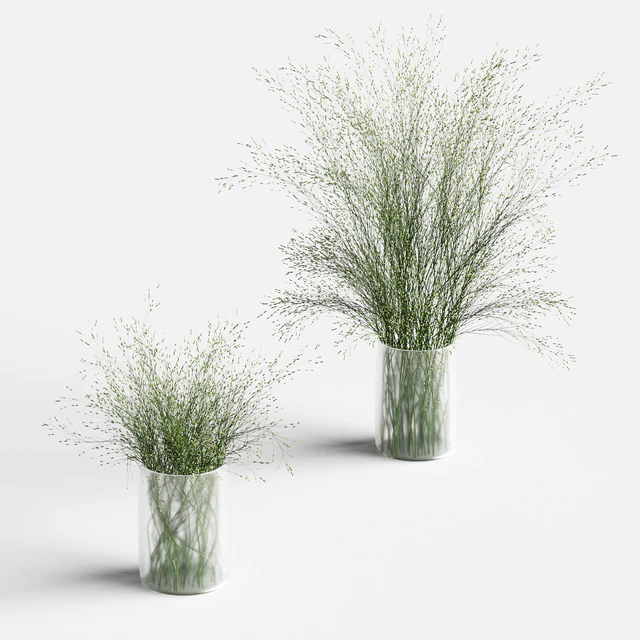 Grass in vases 2 — Descargar