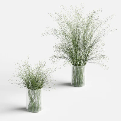 Grass in vases 2 — Ver 1