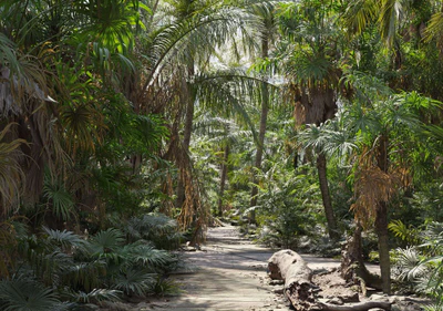 plant models vol 148 — download