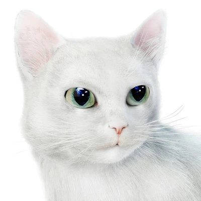 Relaxing cat 1 — View 3