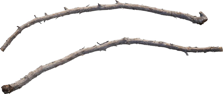 desert western tree branch juniper 002 — Descargar