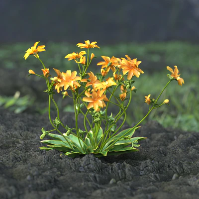 garden flowers 018 — Скачать