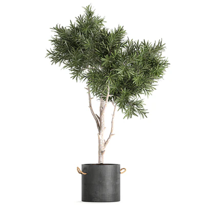 Decorative small tree in a black concrete pot, topiary. Set 741. — Ver 3